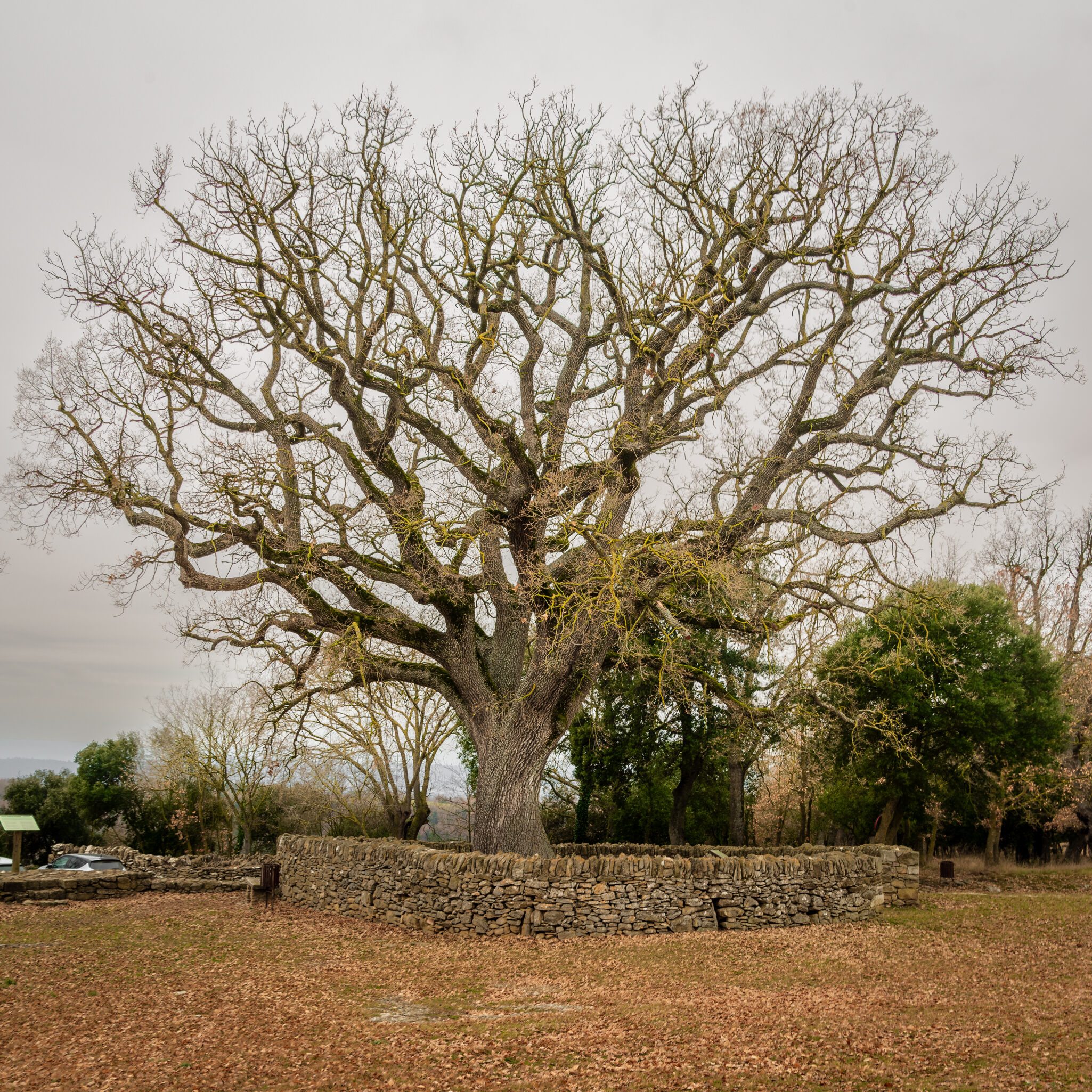 Sta Coloma Saserra 220219 5463 HDR